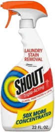 Shout